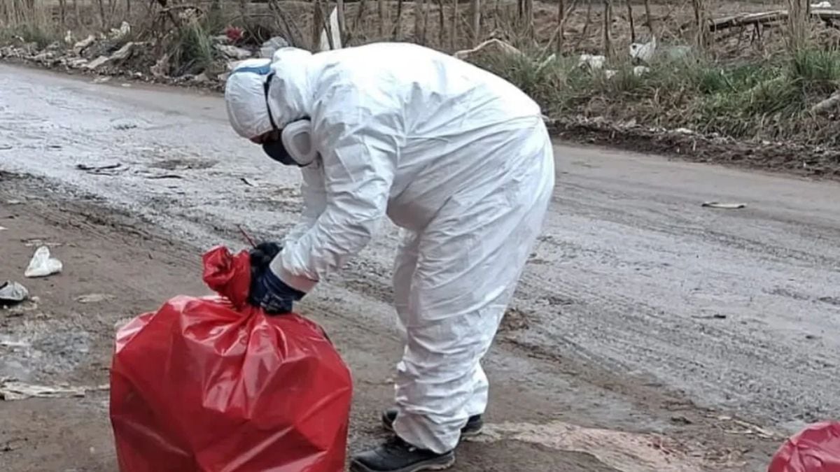 MÁS DE CIEN KILOS DE CARNE PODRIDA SACADOS DE UNA CALLE DE VALENTINA SUR RURAL TRAS UN OPERATIVO QUE DEMANDÓ CUATRO HORAS Y SIETE BOLSAS ESPECIALES