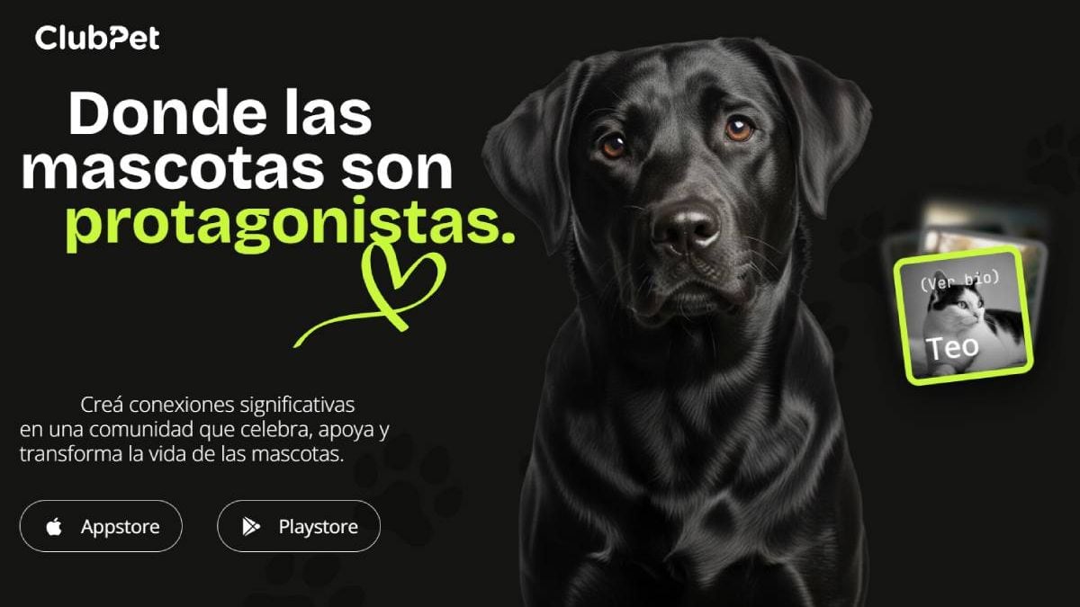Una app que le pone ficha a la vida del perro o del gato: este viernes se presenta en Neuquén con adopción y básquet