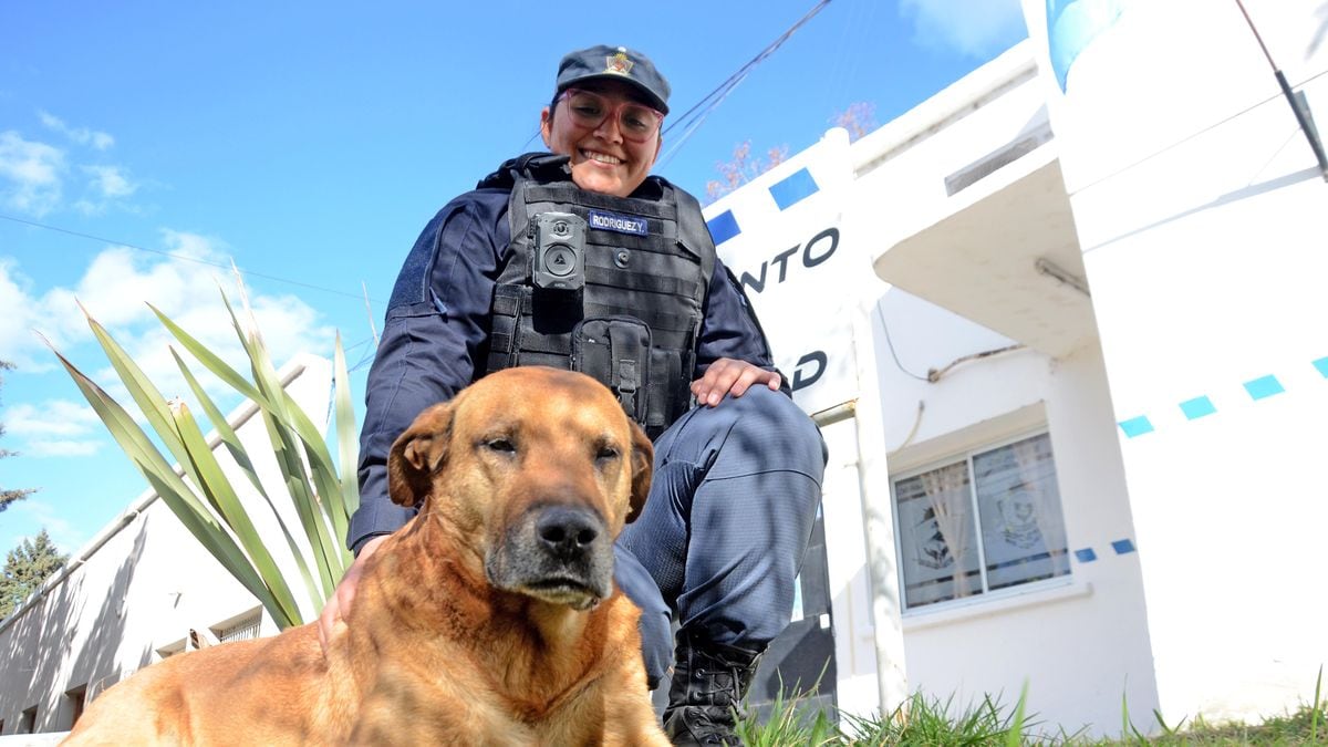El perro que se sumó solo a la patrulla y lleva más de una década rodando con los bicipolicías de Neuquén