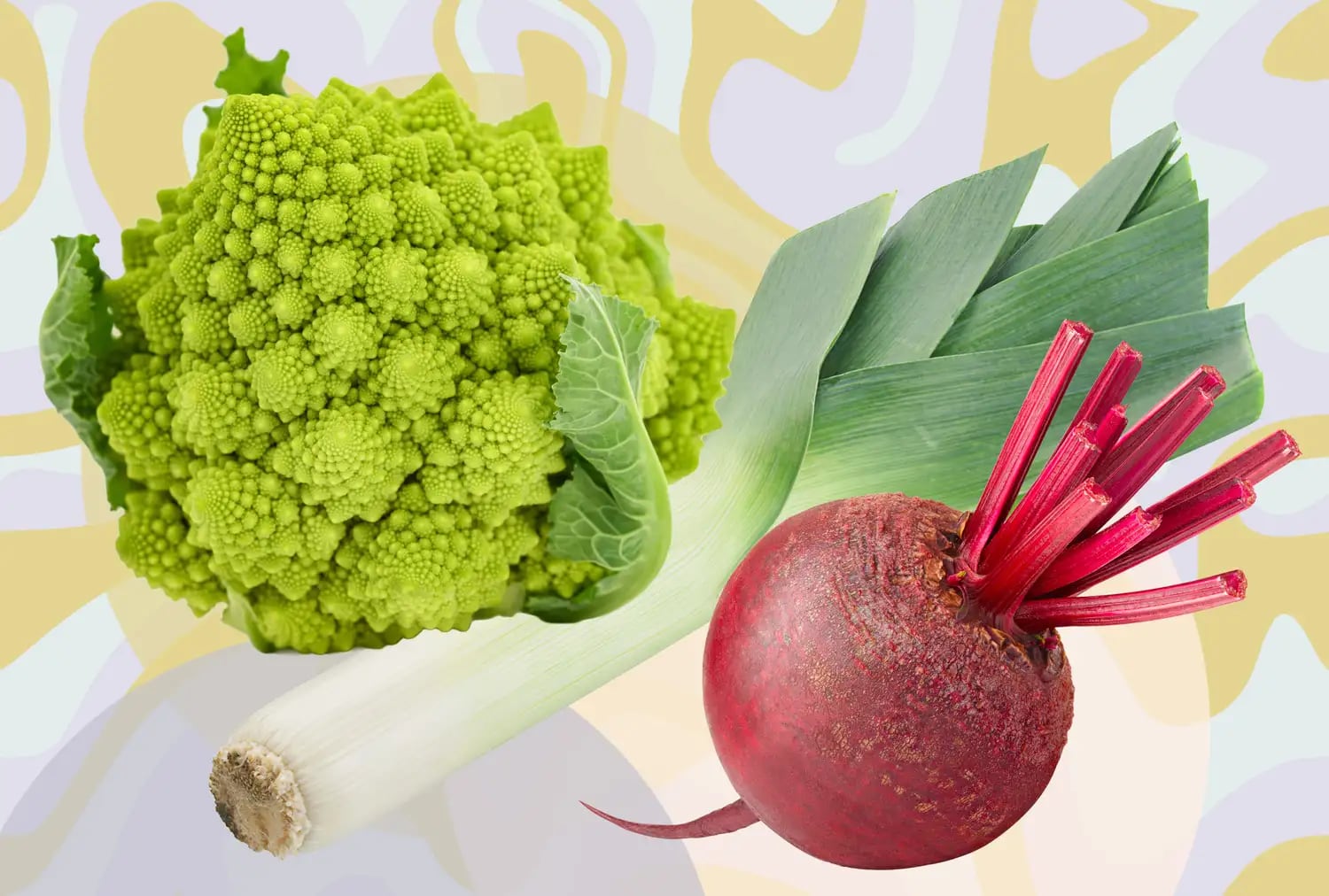 La cocina como aliada contra la inflamación: qué alimentos suman y cuáles restan energía según la evidencia médica