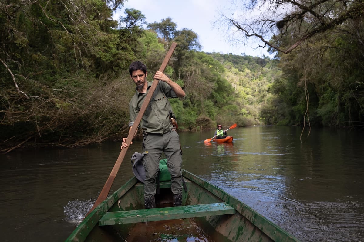 A 40 kilómetros de El Soberbio, una reserva privada articula turismo, conservación y restauración de la selva paranaense