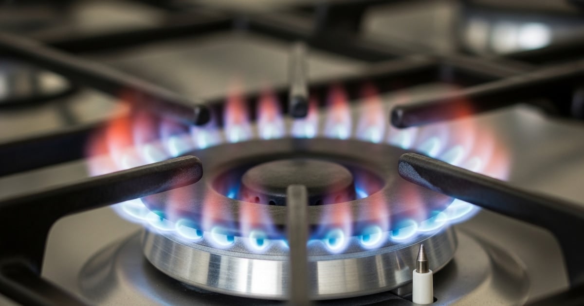 En agosto, los hogares del AMBA pagaron hasta $58.280 de luz sin subsidio y cubrieron cerca de la mitad de los costos de los servicios públicos
