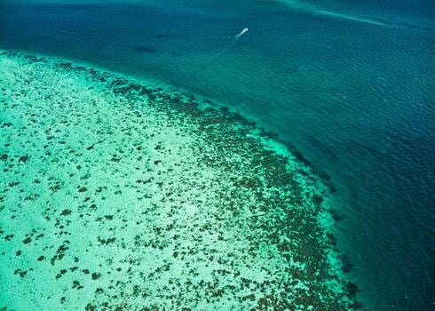 San Pedro, la puerta caribeña del Cayo Ambergris para explorar el arrecife beliceño