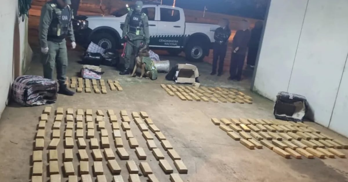 Misiones: Gendarmería decomisó más de 142 kilos de marihuana en un colectivo de larga distancia