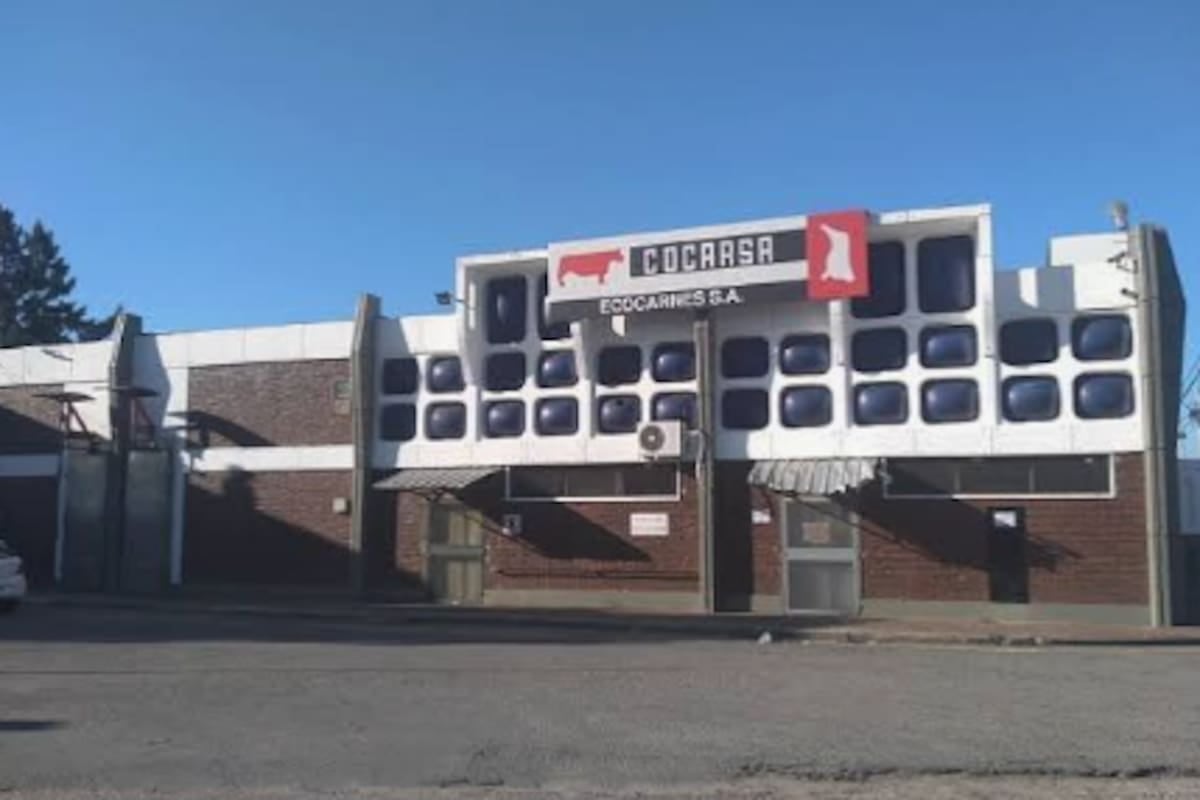 Ecocarnes: trabajadores reclaman por la caída de la obra social y la defensa del salario en San Fernando
