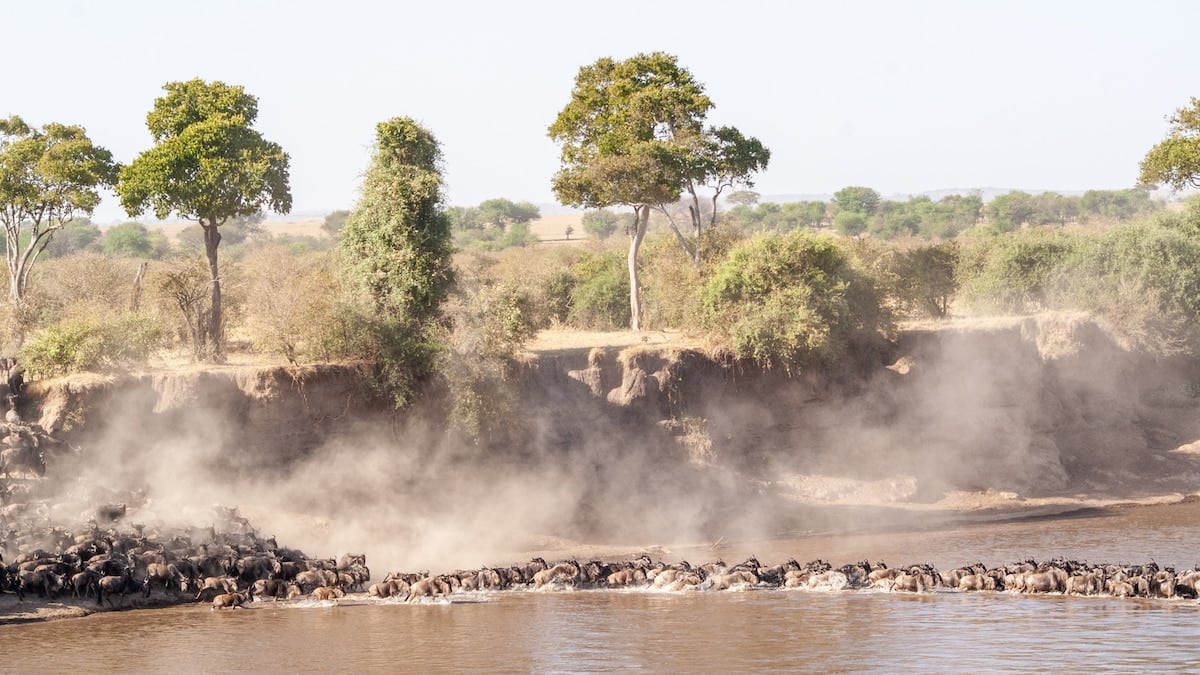 Tanzania en tres parques y una decena de aldeas: la ruta que combina fauna, cráteres y tradiciones del Rift