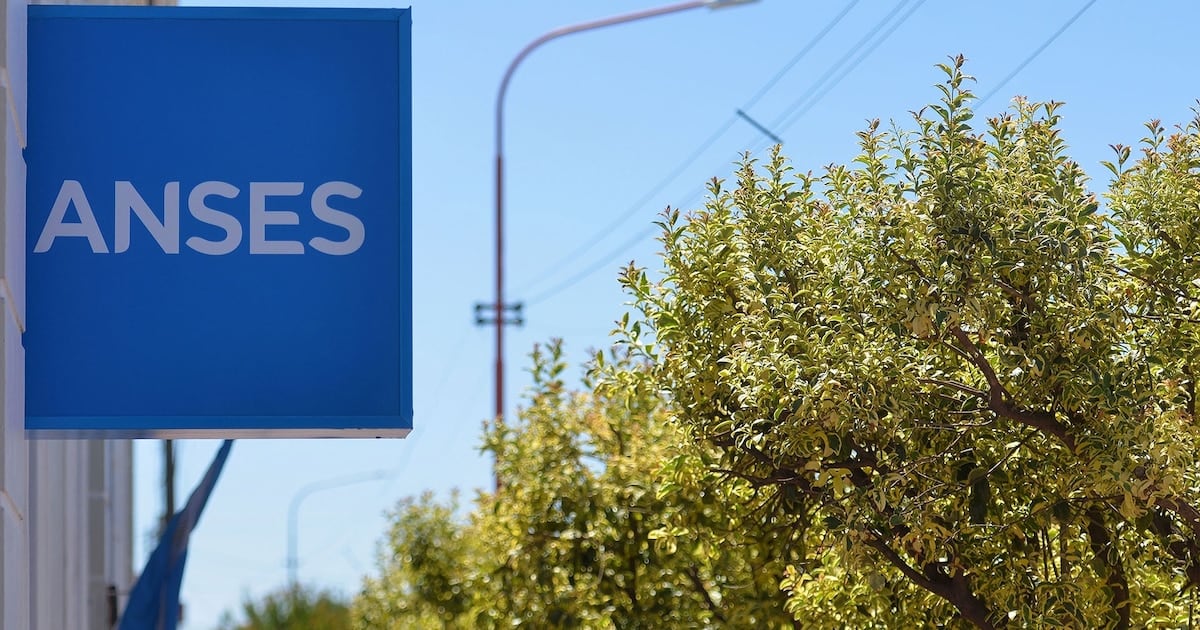 Calendario de pagos de ANSES para octubre: qué día les toca a los DNI terminados en 2