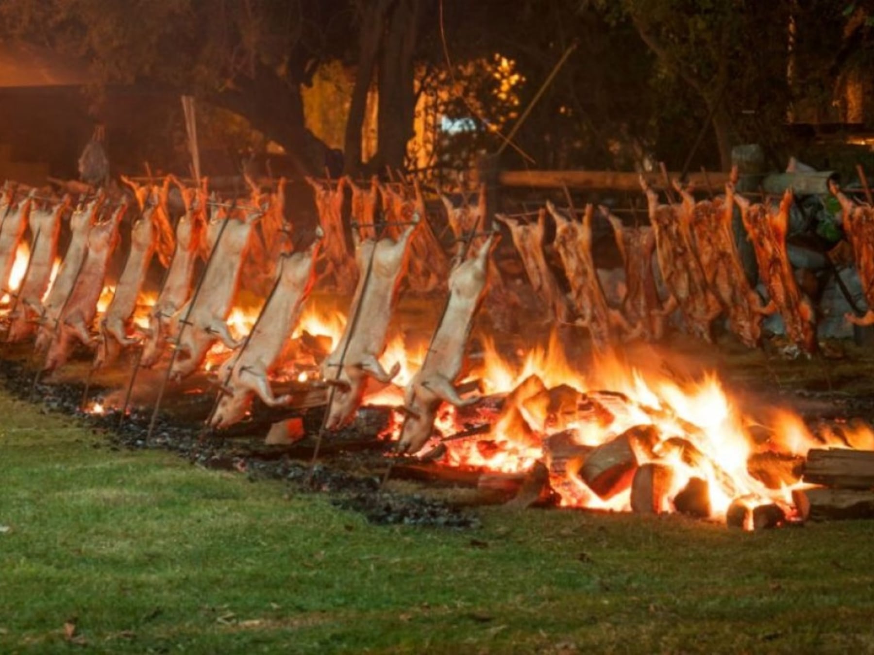 Siete paradas con sabor a provincia: la agenda completa del fin de semana largo en Buenos Aires