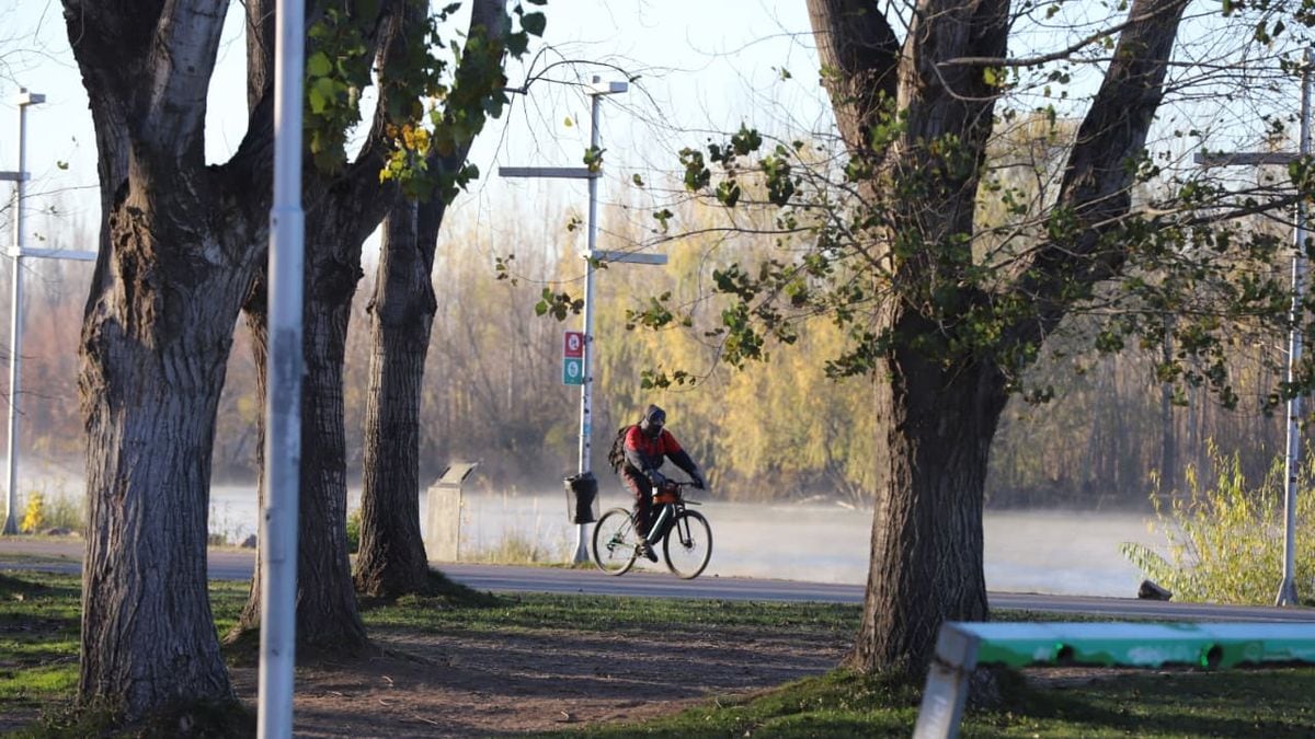 Neuquén arranca el sábado con 14 grados, viento que rotará al este y una noche para tirarse acobijar