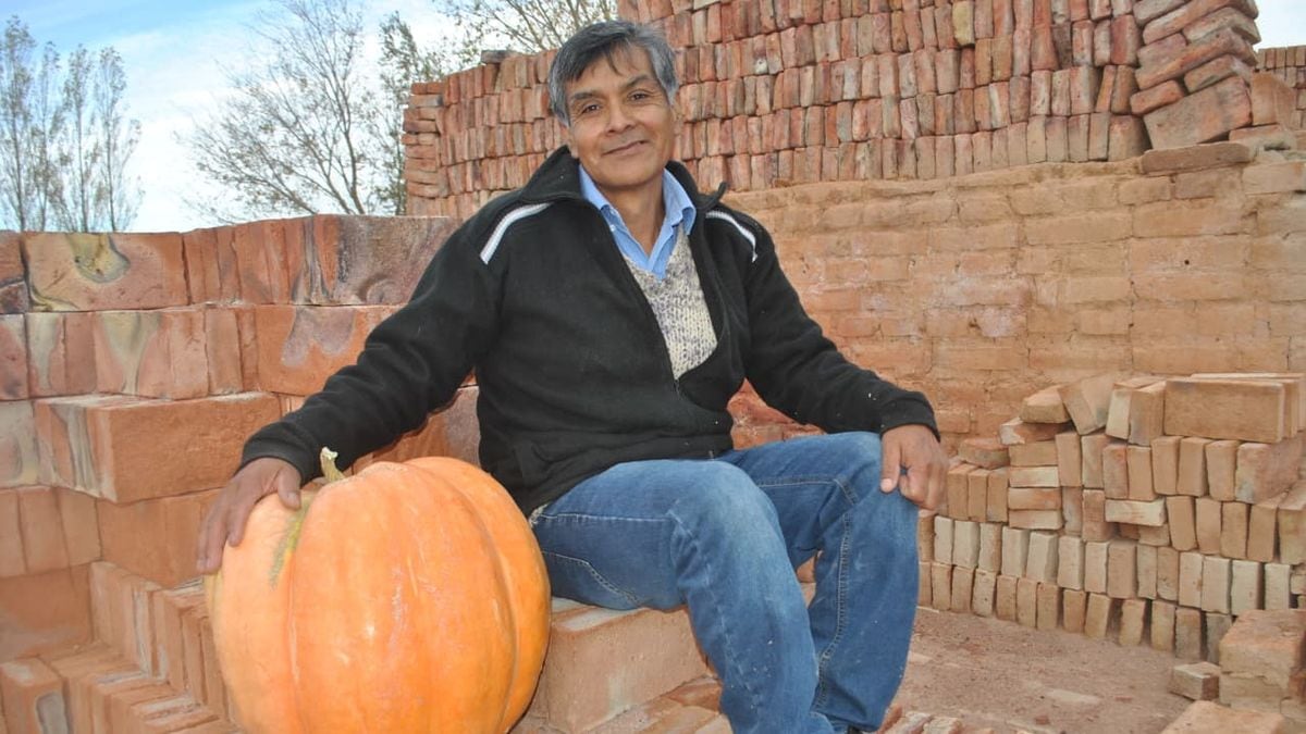 Mariano Moreno vuelve a abrir las puertas del concurso del zapallo gigante y regala semillas para que cualquiera se anime a sembrar