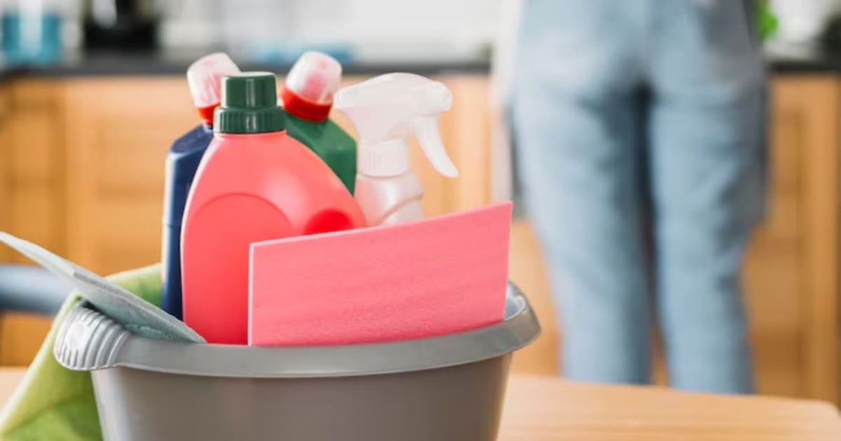 ARCA lanza el Recibo Asistido para empleados de casas particulares: cómo funciona y qué debe revisar el empleador
