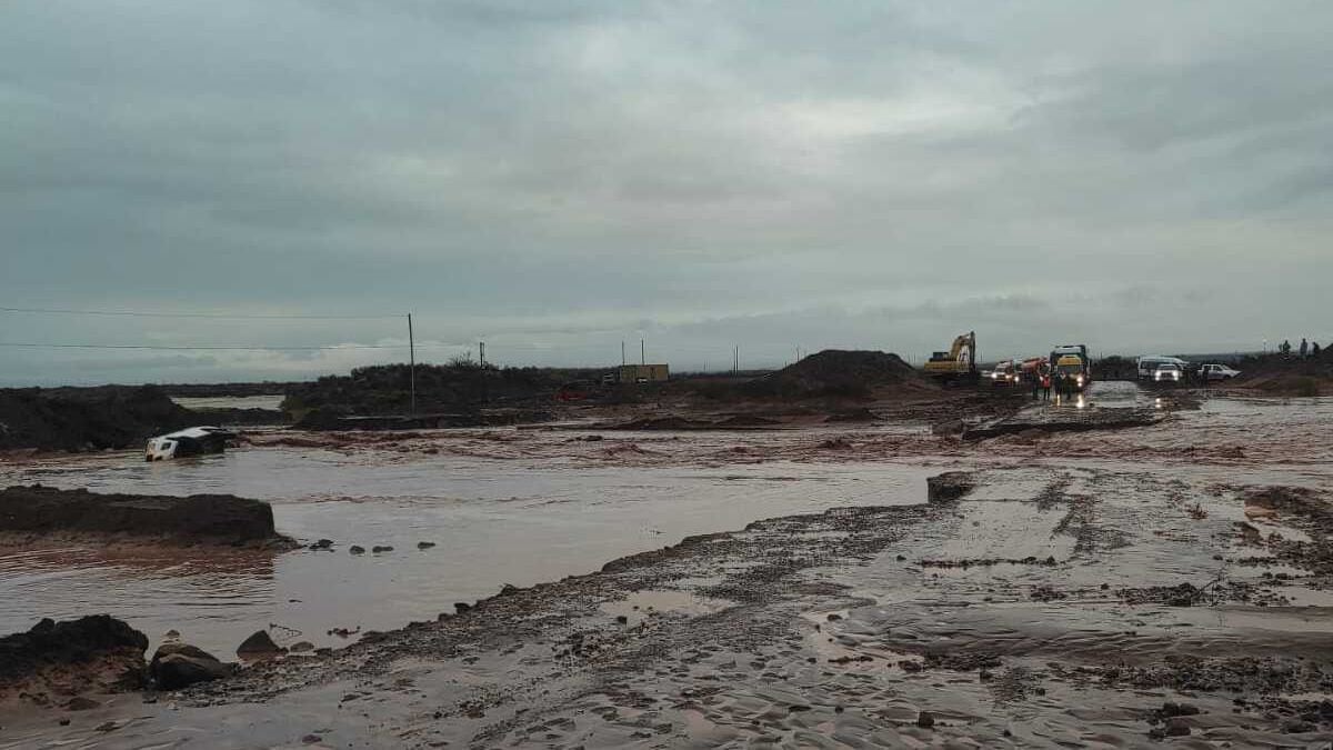 Rincón de los Sauces bajo el agua: más de medio centenar de familias asistió Defensa Civil y la Ruta 8 sigue cerrada