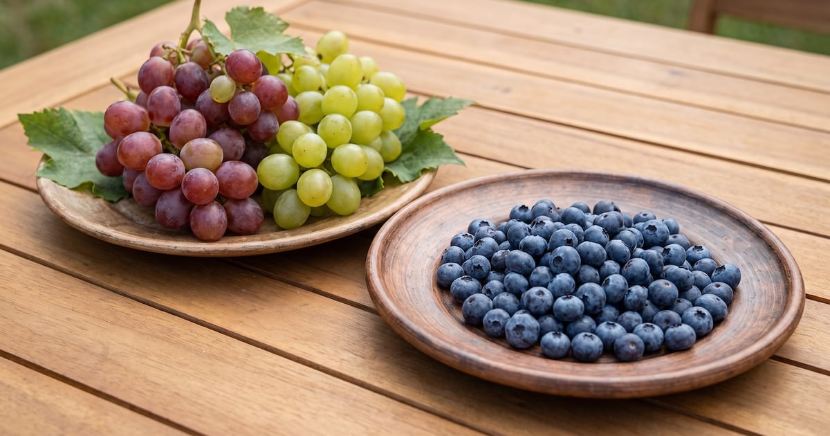 Arándanos o uvas: qué fruta convive mejor con el azúcar en sangre y por qué la fibra marca la diferencia
