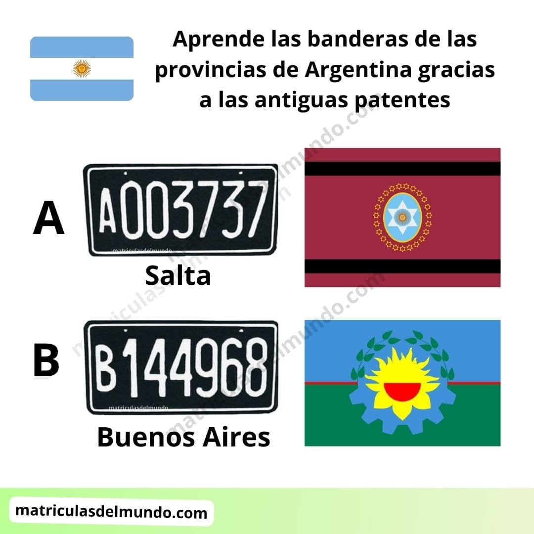 Las patentesdslArgentina permiten fechar un auto y anticipar sus costos