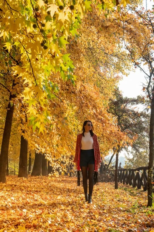 El otoño abre una nueva ventana para recorrer doce capitales europeas