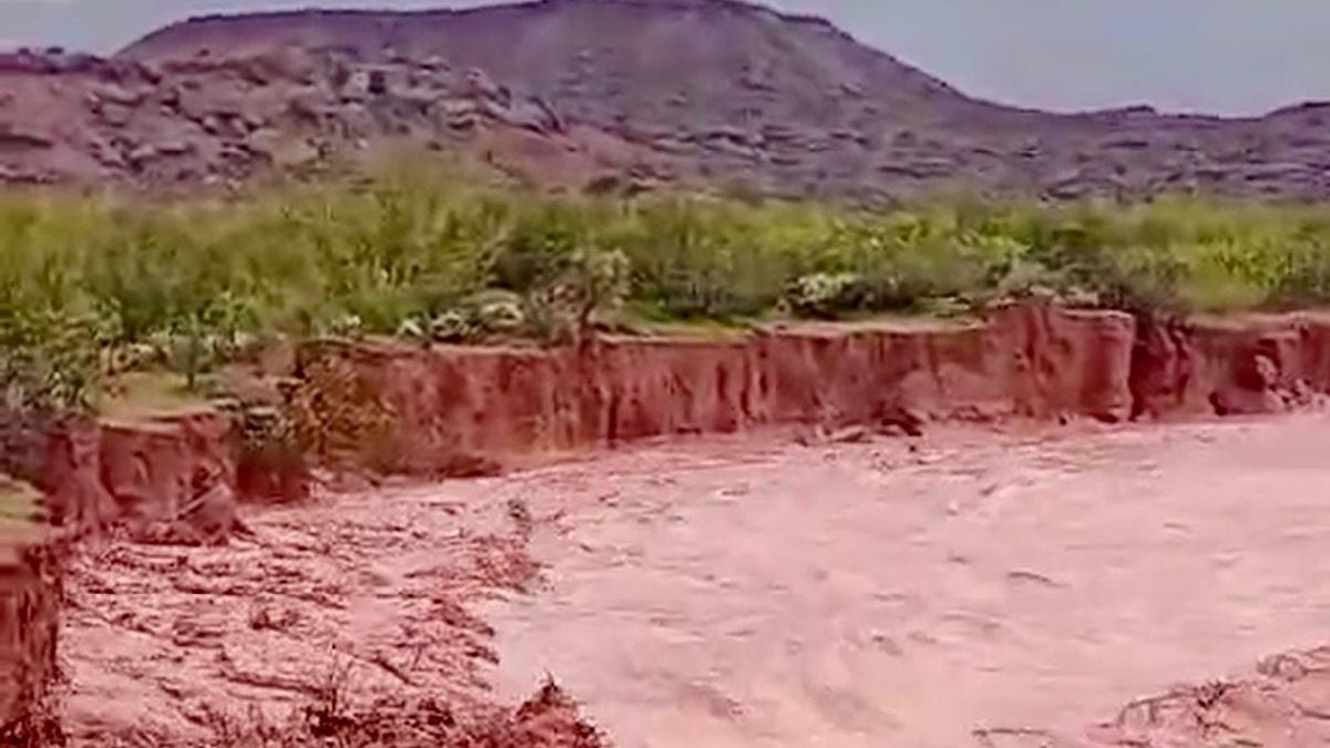 Río Neuquén: dónde consultar los caudales oficiales durante el temporal
