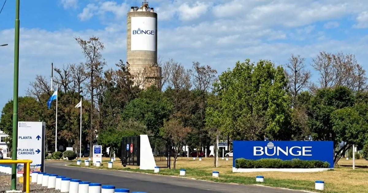 Campana pierde una línea de producción de fertilizantes y quedan afectados 110 empleos